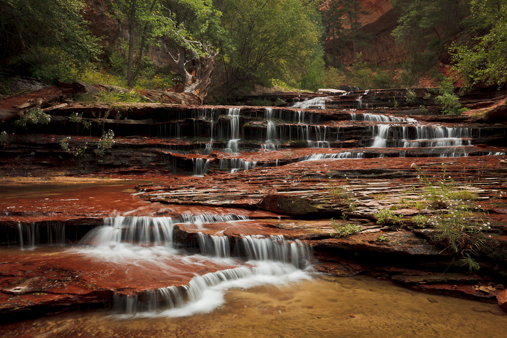 Zion Cascades