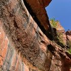 Zion - Felswand auf dem Weg zu den Emerald Pools (Zion Ntl. Park USA 2008)