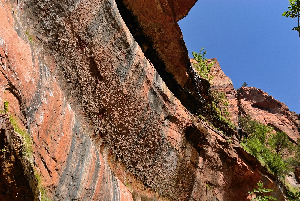 Zion - Felswand auf dem Weg zu den Emerald Pools (Zion Ntl. Park USA 2008)