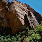 Zion - Felswand bei den Emerald Pools (Zion Ntl. Park USA)