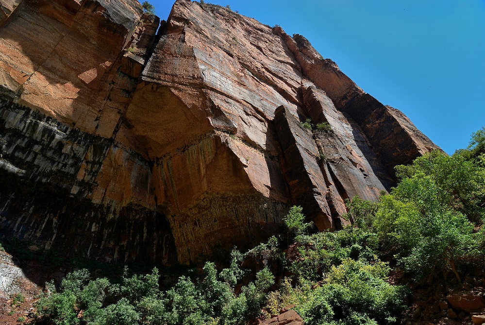 Zion - Felswand bei den Emerald Pools (Zion Ntl. Park USA)