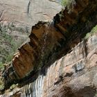 Zion - Felswand III (auf dem Weg zu den Emerald Pools - Zion Ntl. Park USA)