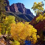 Zion im Herbst