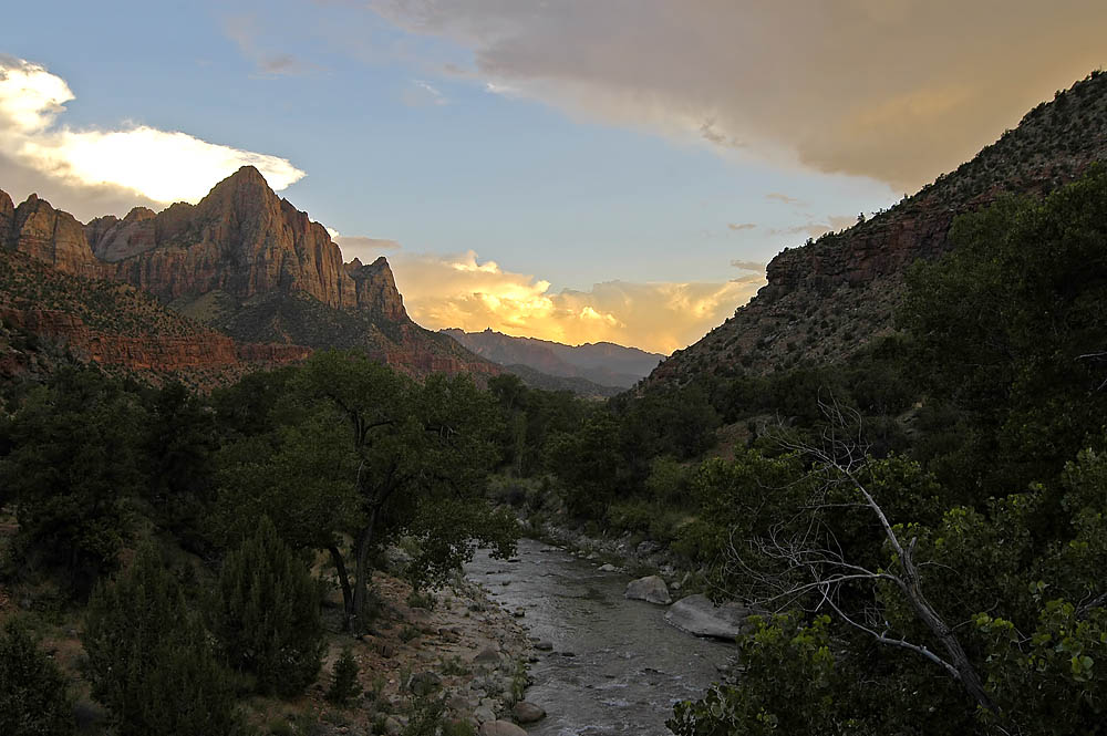 Zion in Gelb