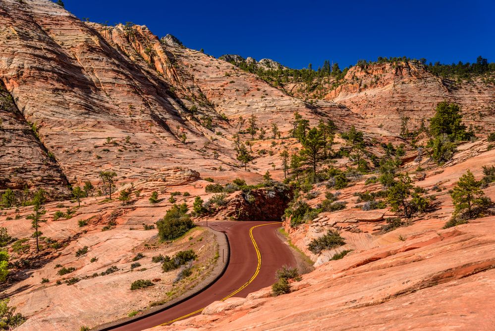 Zion - Mount Carmel Highway, Zion NP, Utah, USA