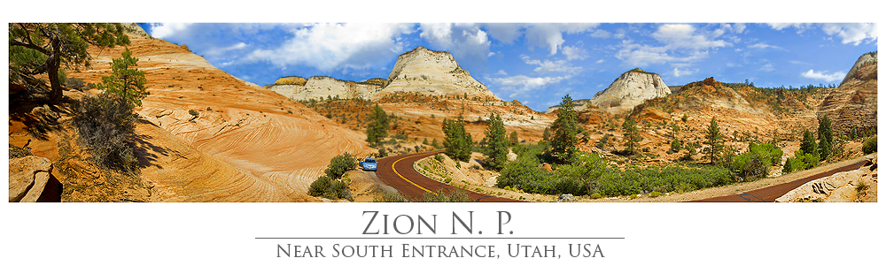 [ Zion N. P ]