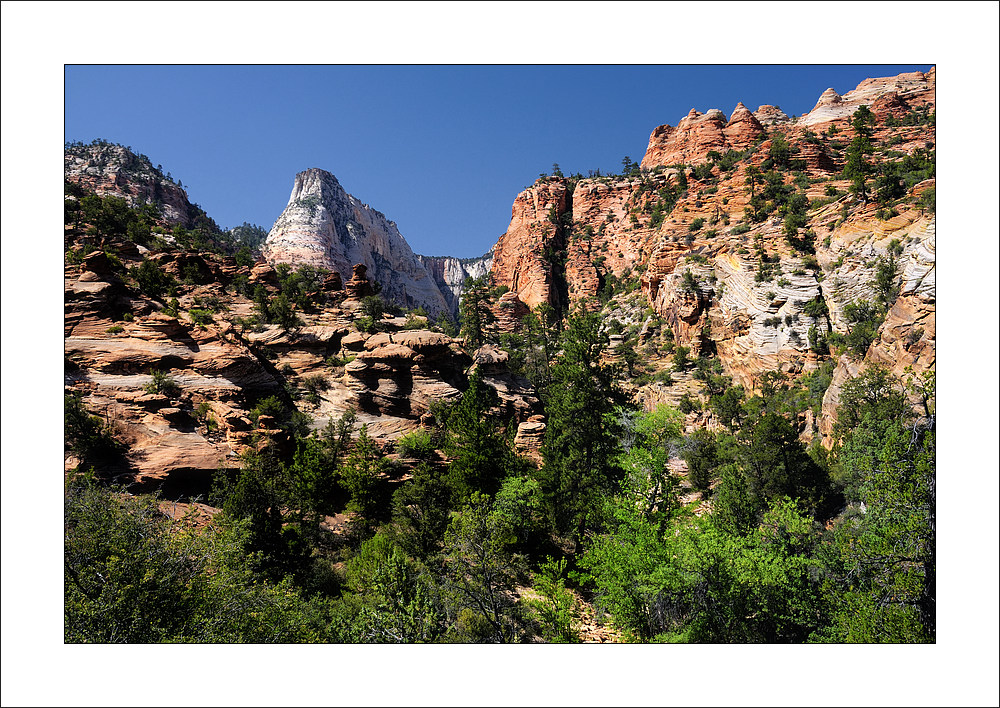 ...Zion N. P. (IV) ...