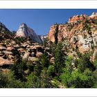 ...Zion N. P. (IV) ...