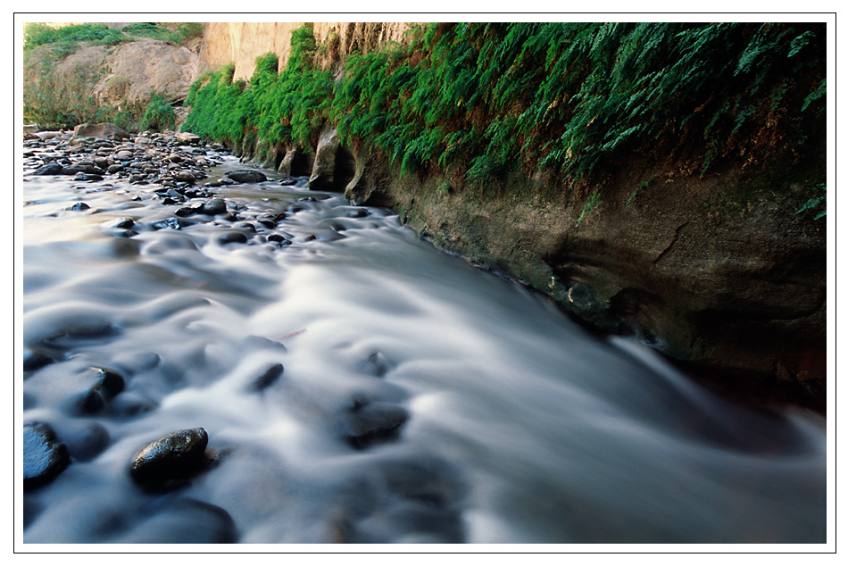 Zion Narrows #2