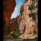 Zion Narrows