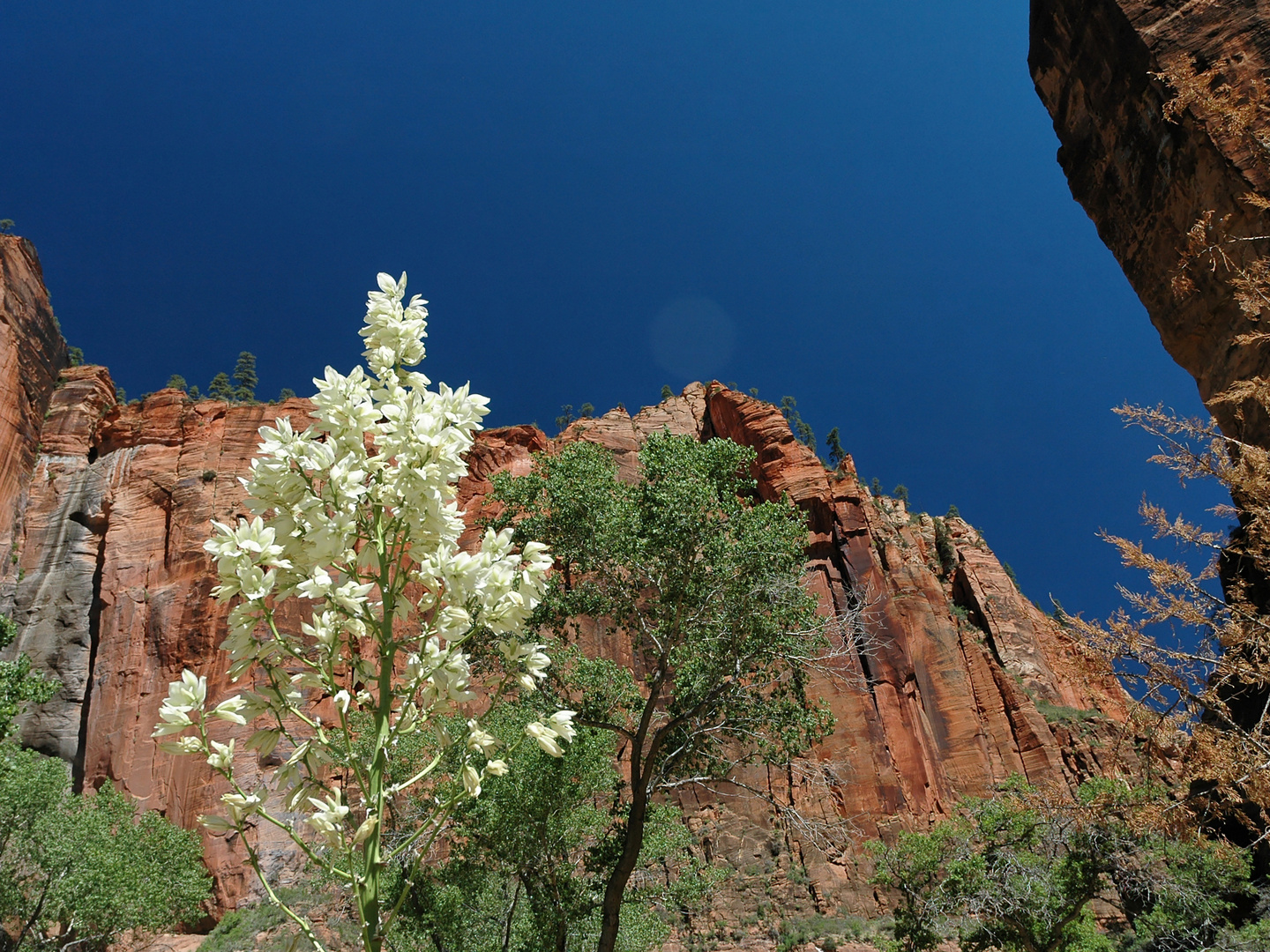 Zion National Park