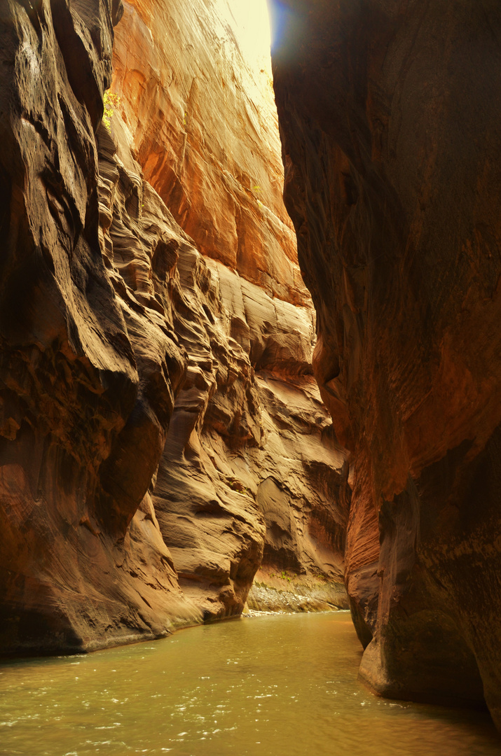 Zion National Park 2