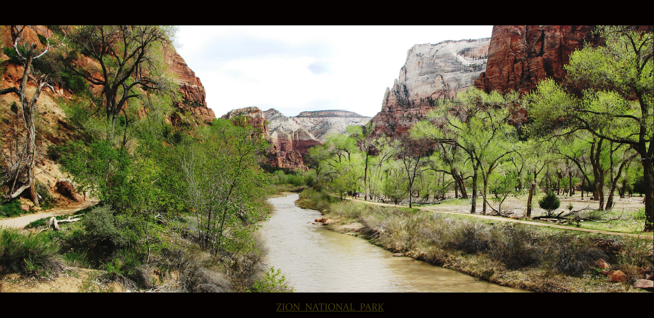 Zion National Park