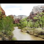 Zion National Park