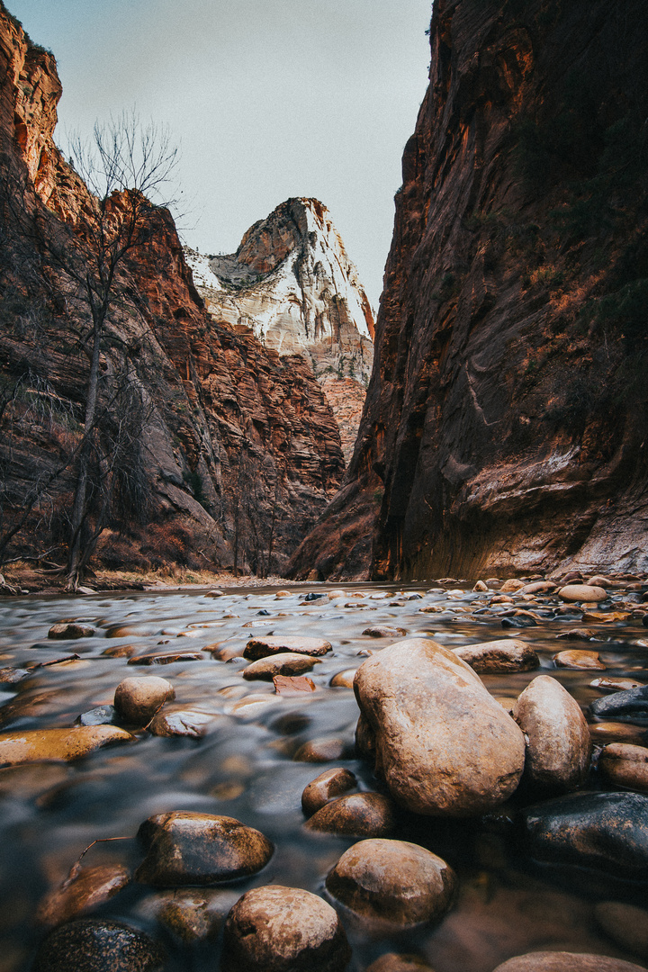 Zion National Park