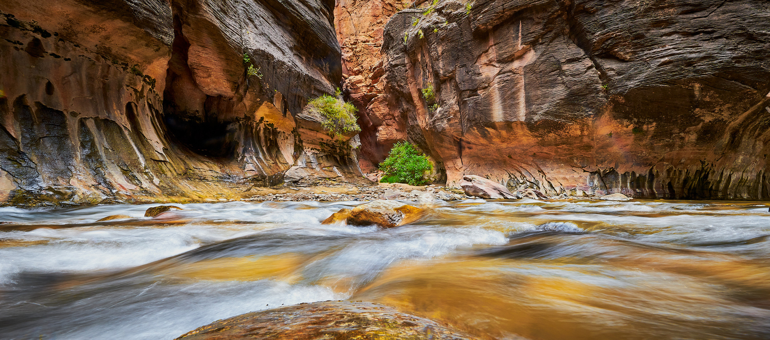 Zion National Park