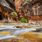 Zion National Park