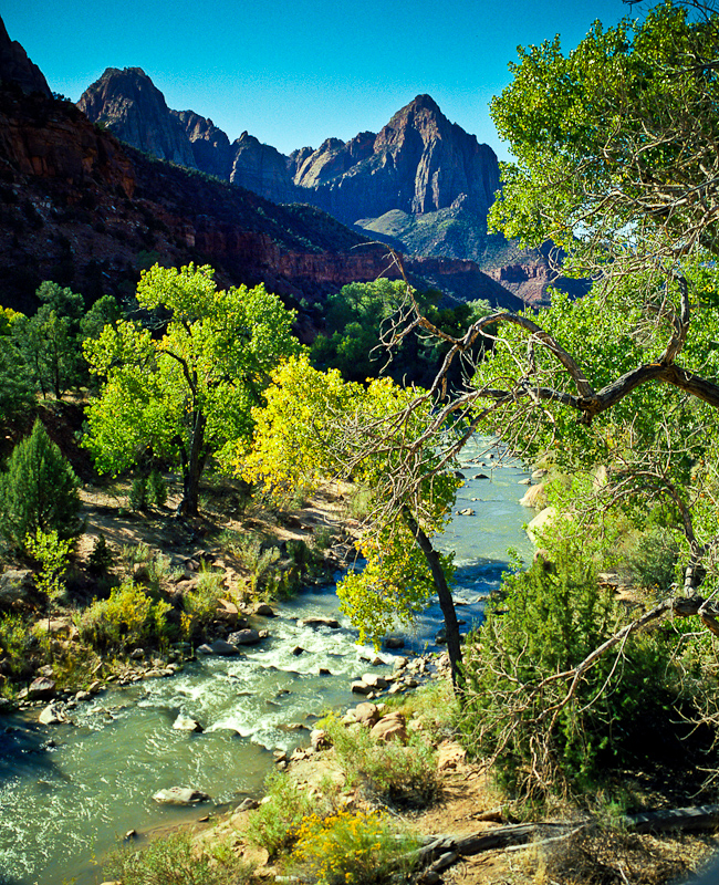 Zion National Park