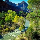 Zion National Park