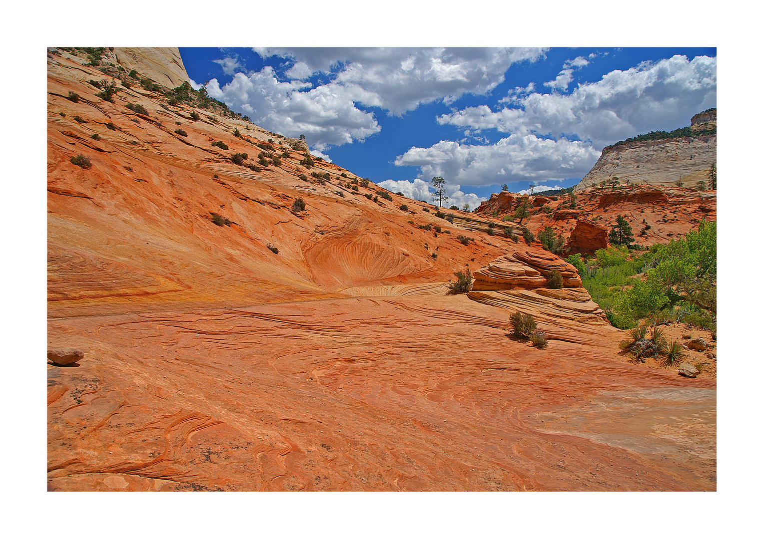 Zion National Park