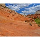 Zion National Park