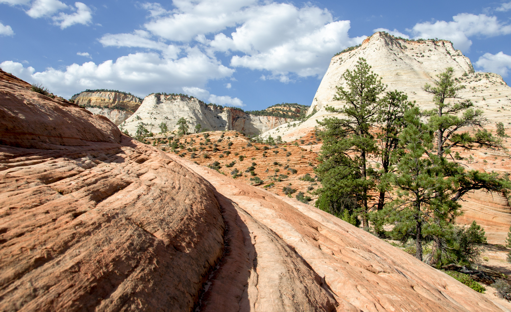 Zion National Park