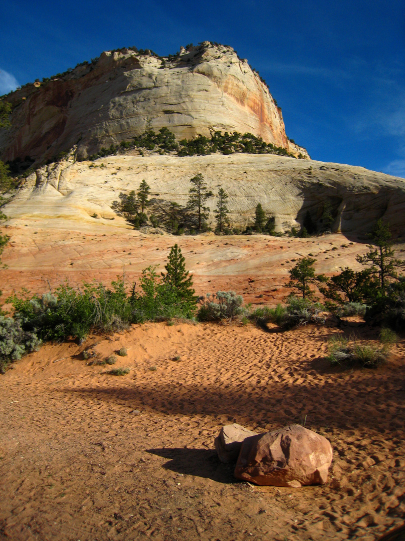 Zion National park