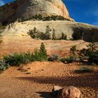 Zion National park