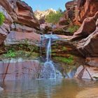 Zion National Park