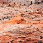 Zion National Park