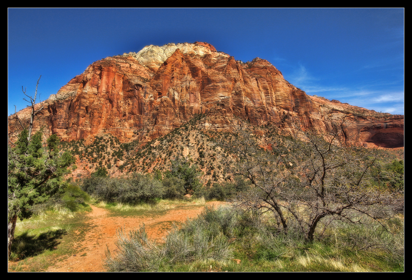 Zion NAtional PArk