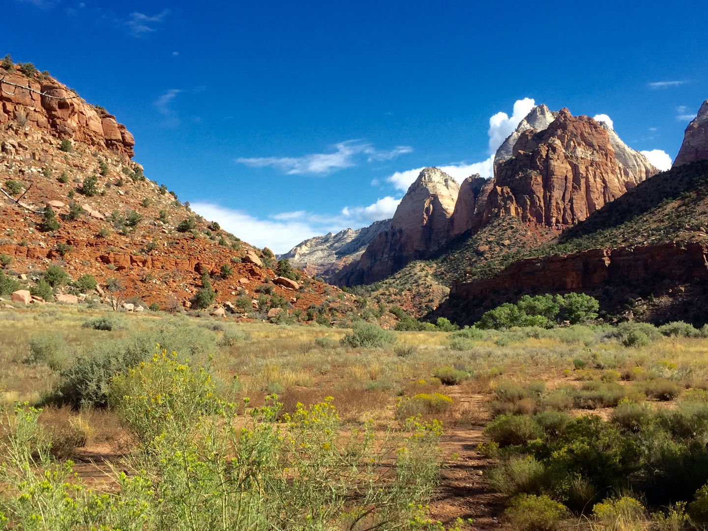 Zion National Park