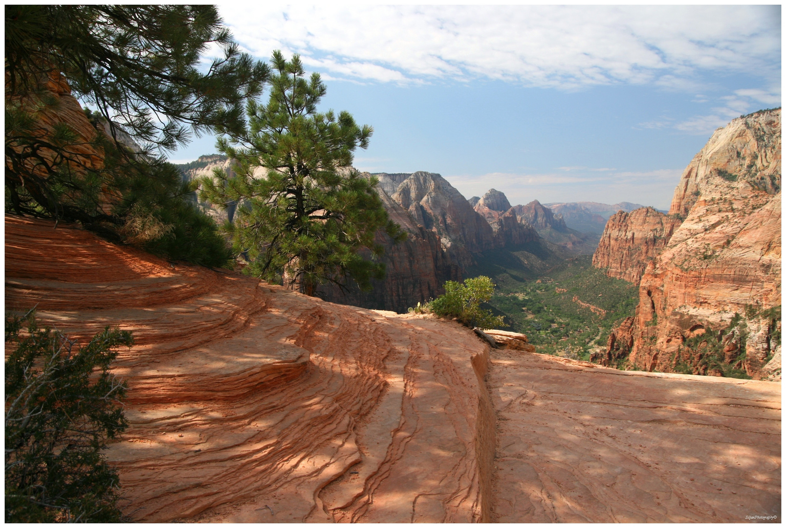 Zion National Park