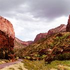 Zion National Park