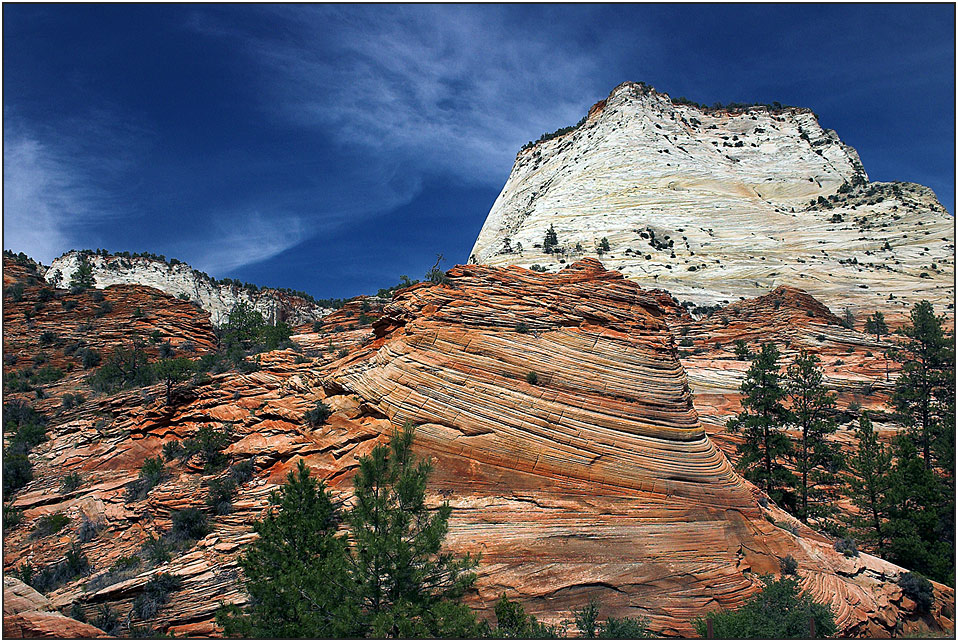 Zion - National Park