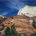 Zion - National Park