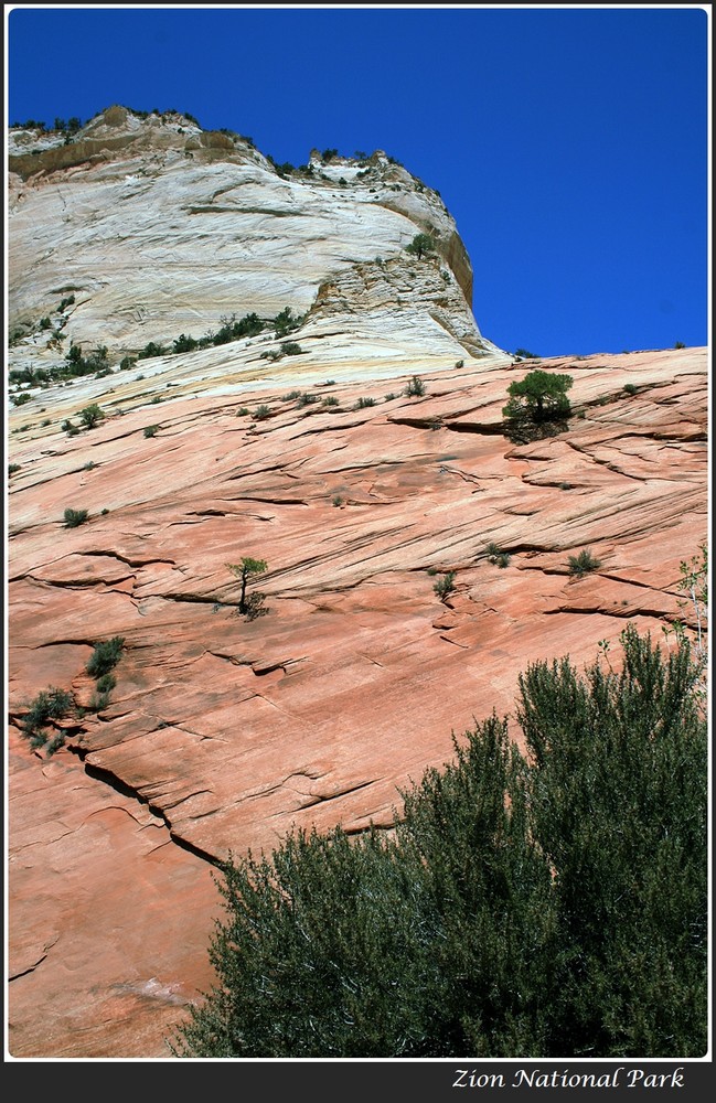 Zion National Park