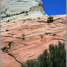 Zion National Park