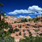 Zion National Park