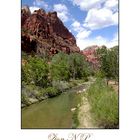 Zion National Park