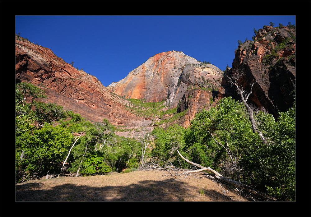 ... Zion National Park ...