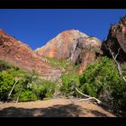 ... Zion National Park ...