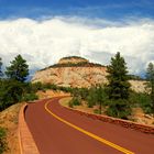 Zion National Park