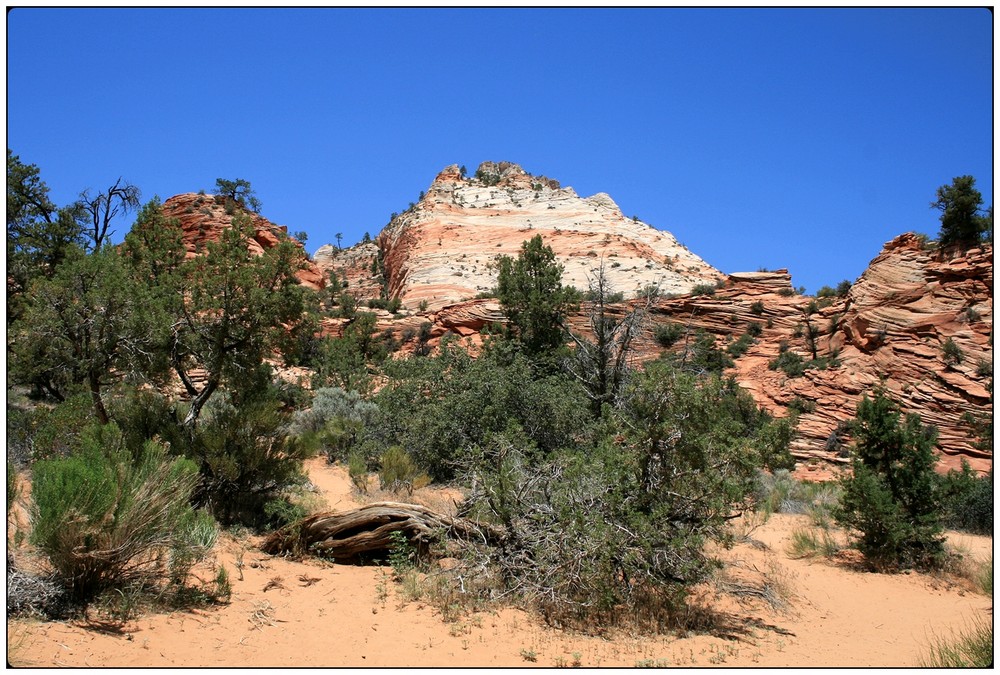 Zion National Park III