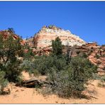 Zion National Park III