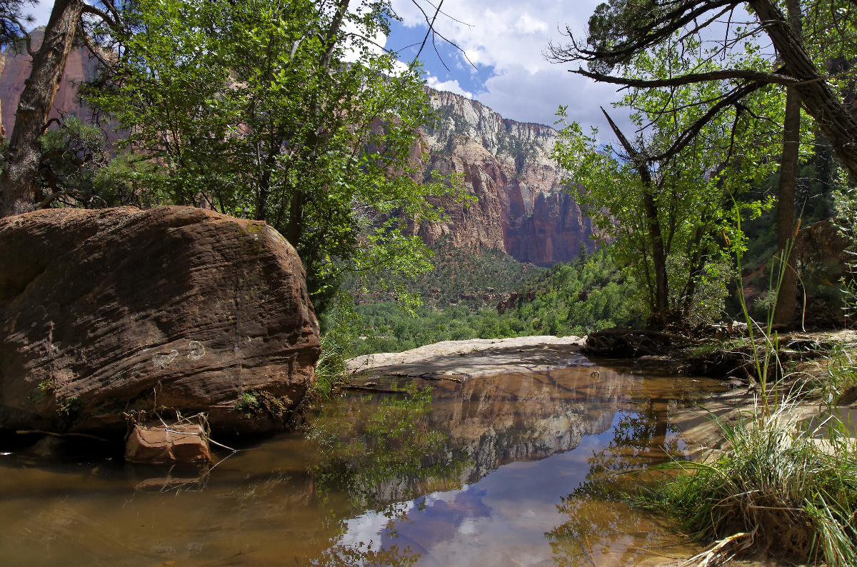 Zion National Park - The clear water of the middle emerald pool