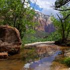 Zion National Park - The clear water of the middle emerald pool