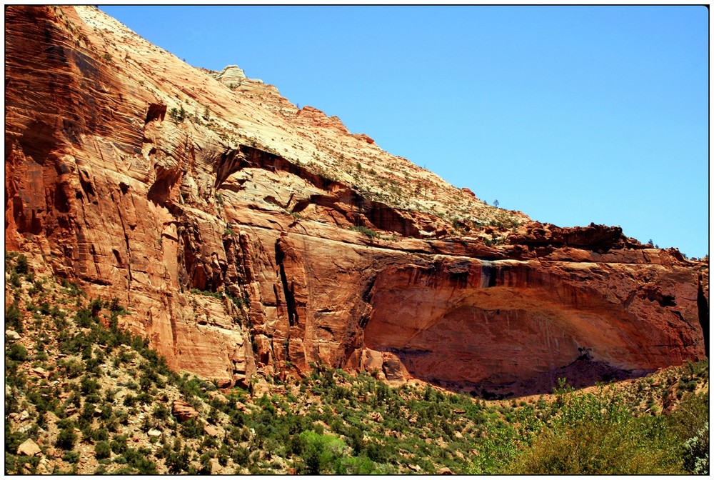 Zion National Park V