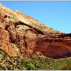 Zion National Park V