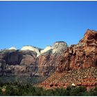 Zion National Park VI